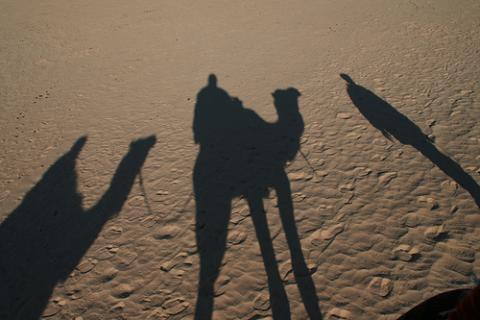 tunez-camellos.jpg