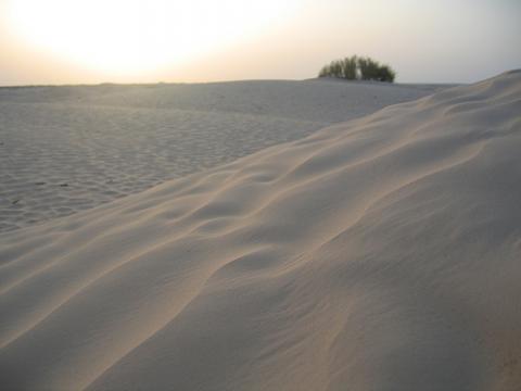 desierto-tunez.jpg